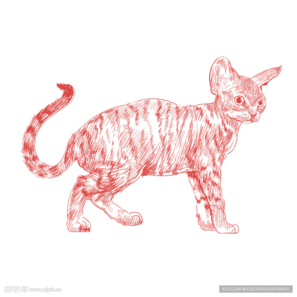 红色线条勾勒的猫咪形象