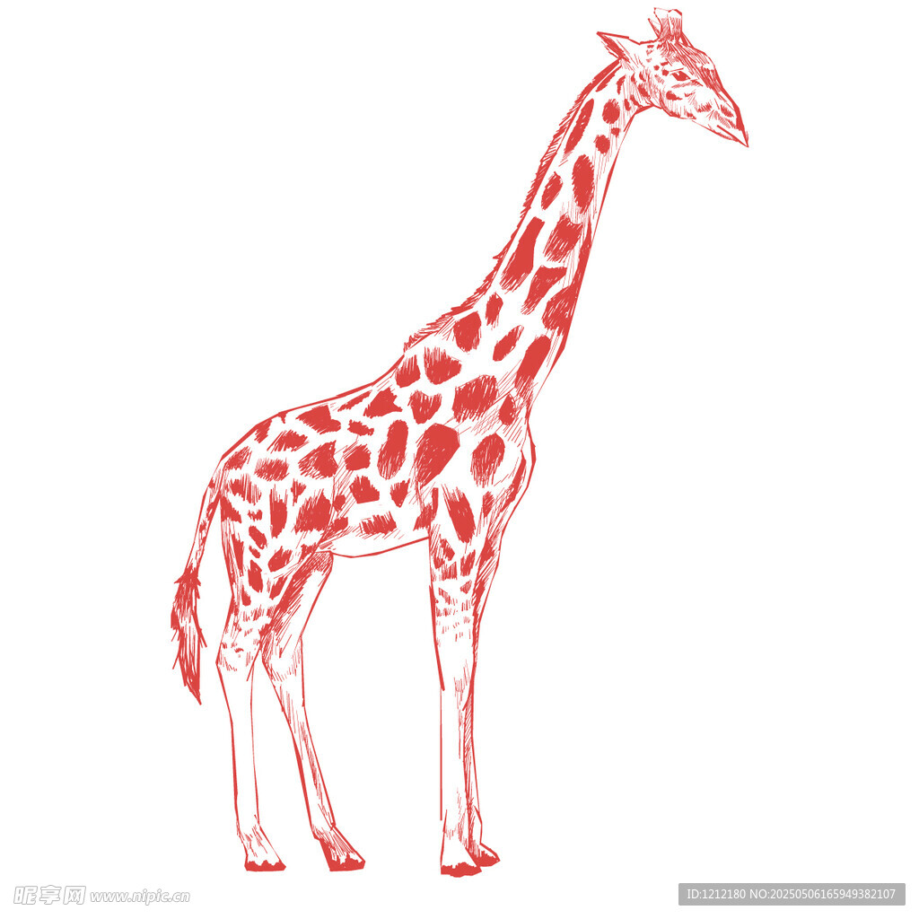 红色长颈鹿插画