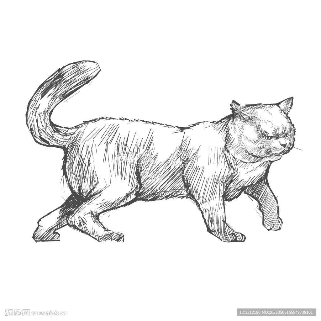 行走的猫咪素描图