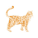 手绘花纹猫咪插画