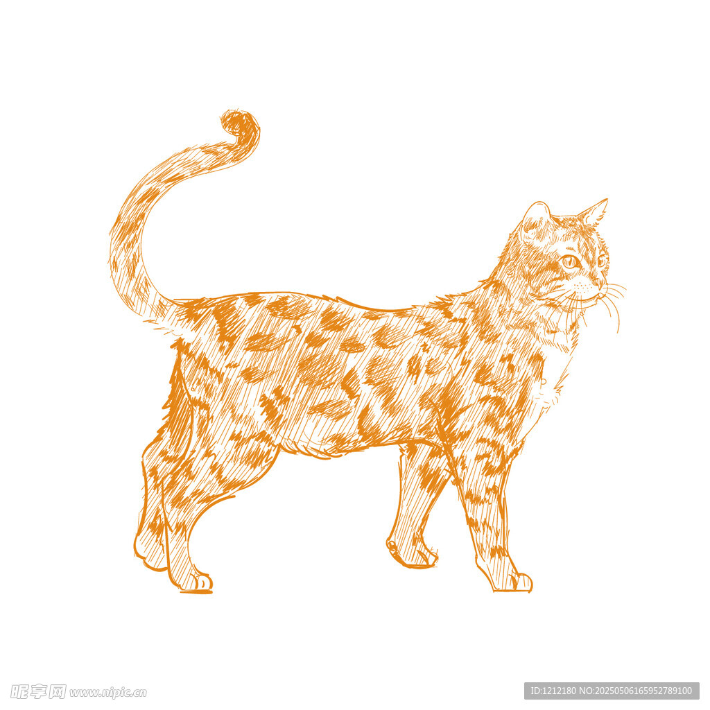 手绘花纹猫咪插画