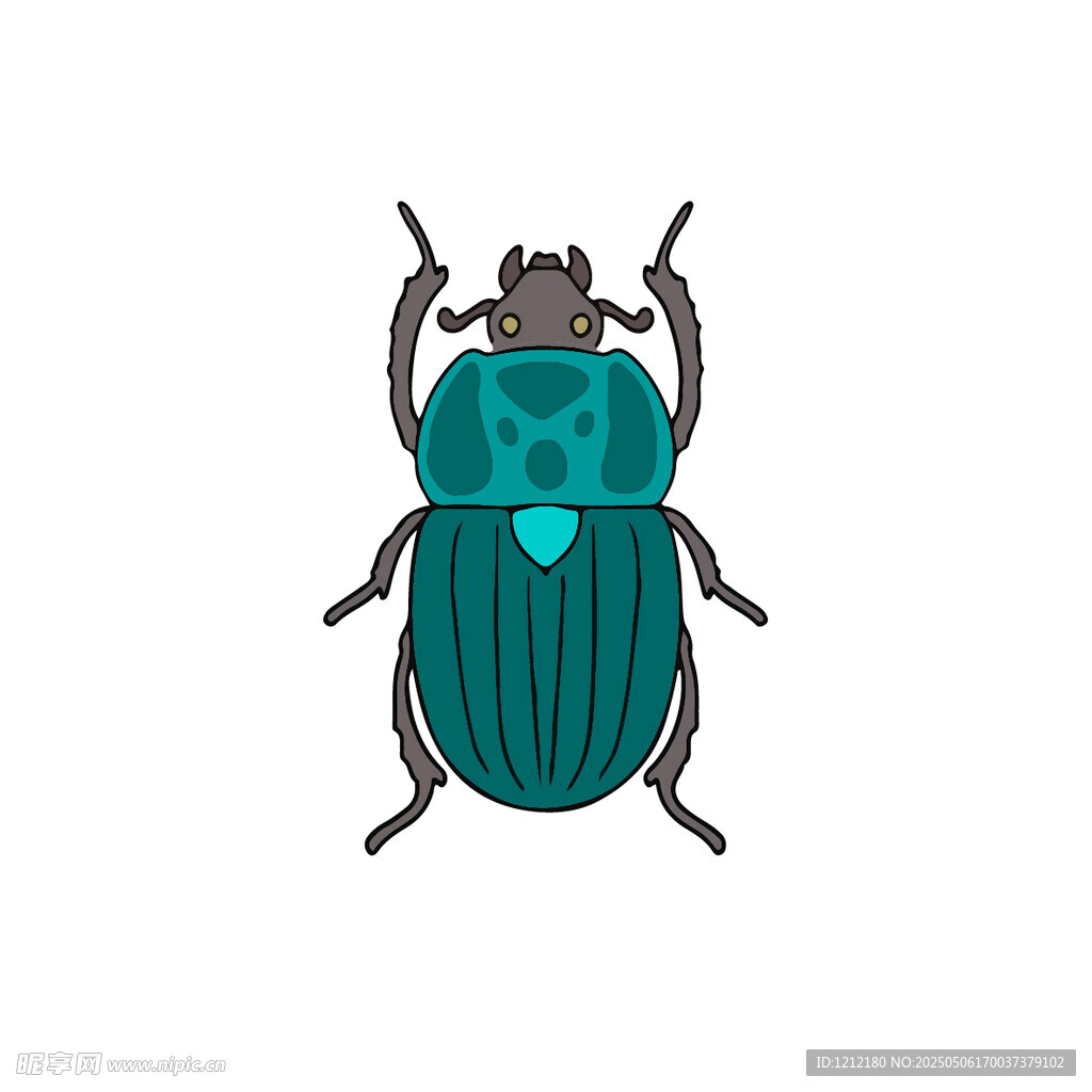 绿色甲虫插画