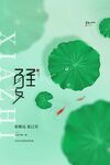 夏至荷叶游鱼清新画面