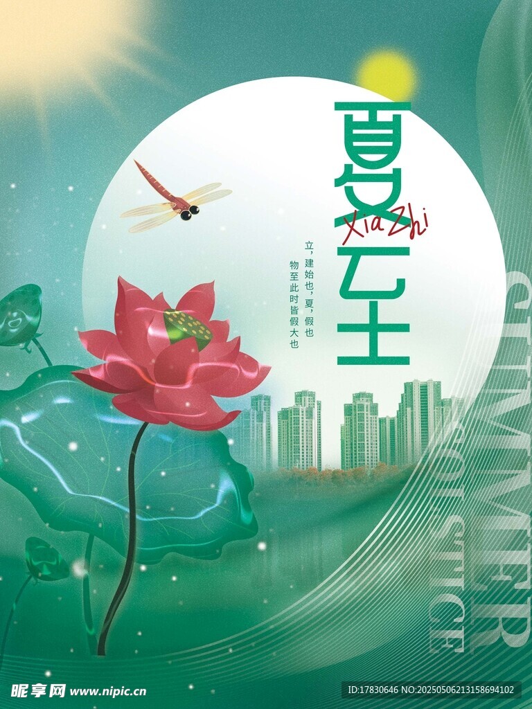 夏至荷花城市风景图