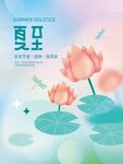 夏至荷花蜻蜓清新画面