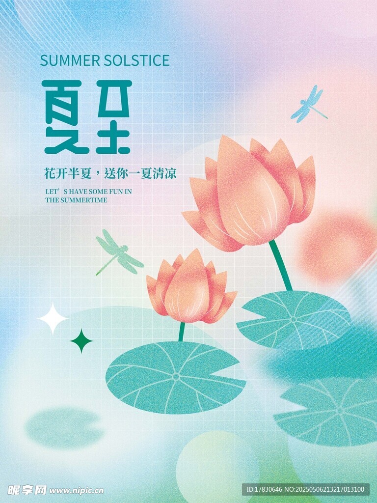 夏至荷花蜻蜓清新画面