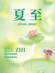 夏至节气荷花主题插画