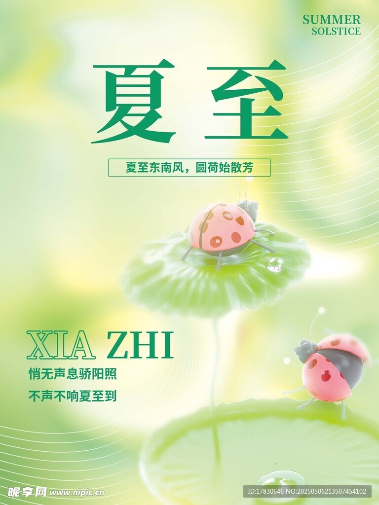 夏至节气荷花主题插画