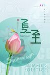 夏至时节荷花绽放