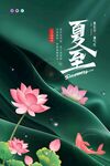 夏日荷花金鱼诗意画面