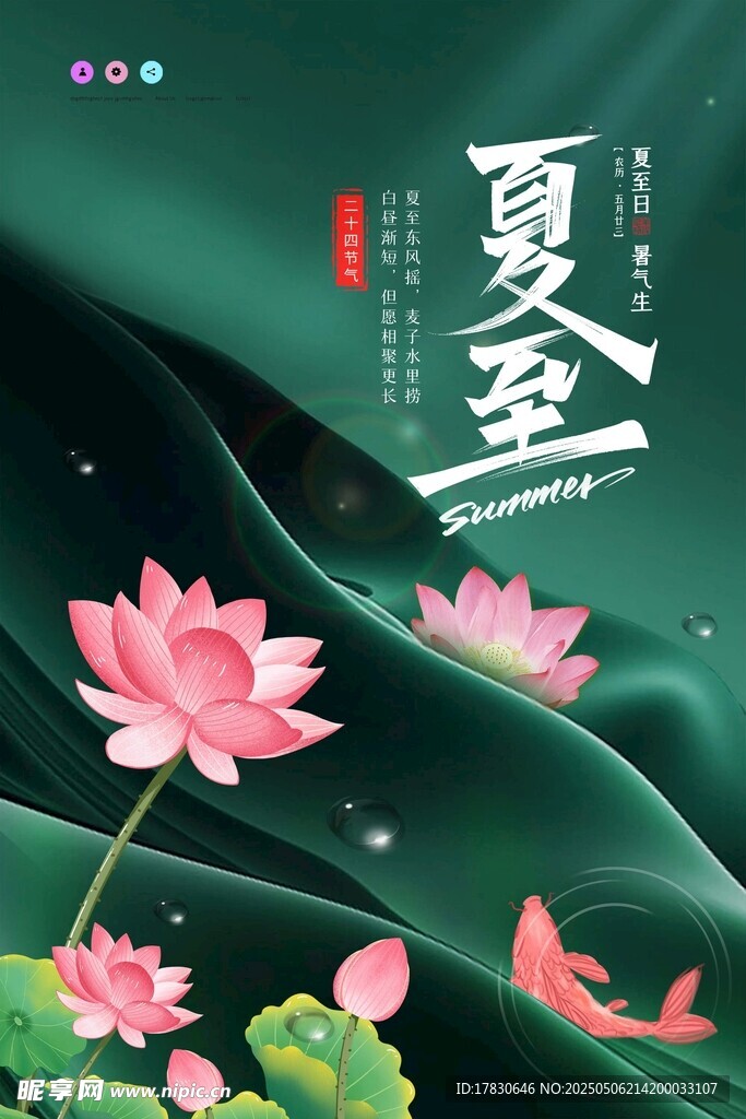 夏日荷花金鱼诗意画面