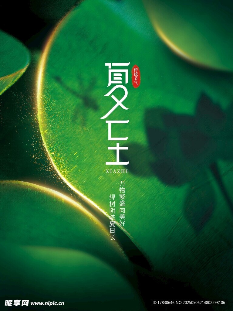 绿叶上的荧光昆虫