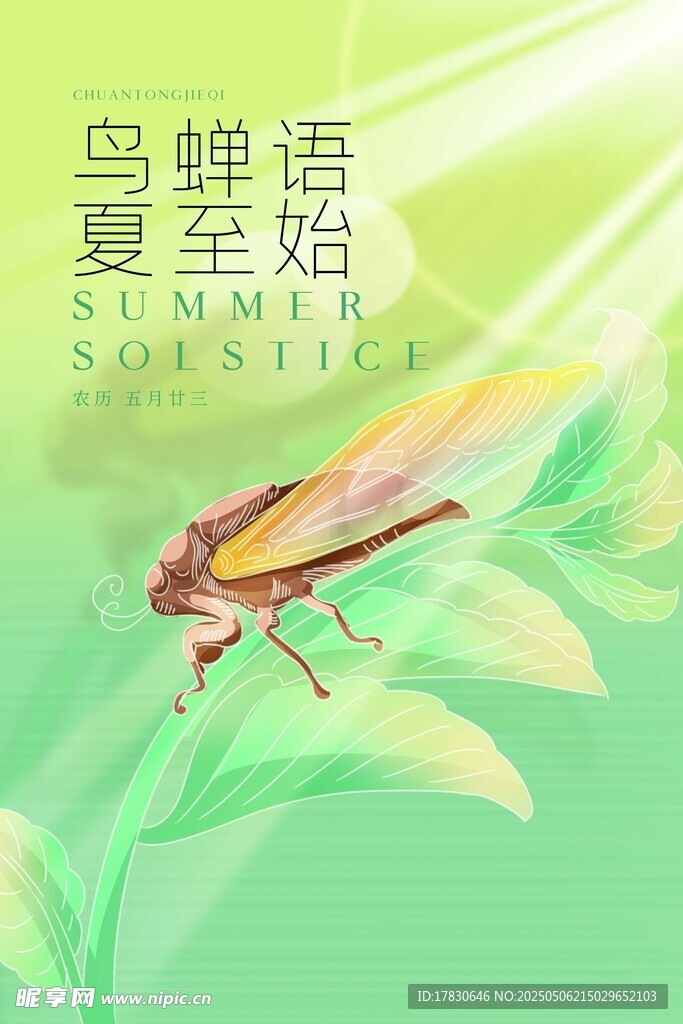 夏日荷叶游鱼清新画面