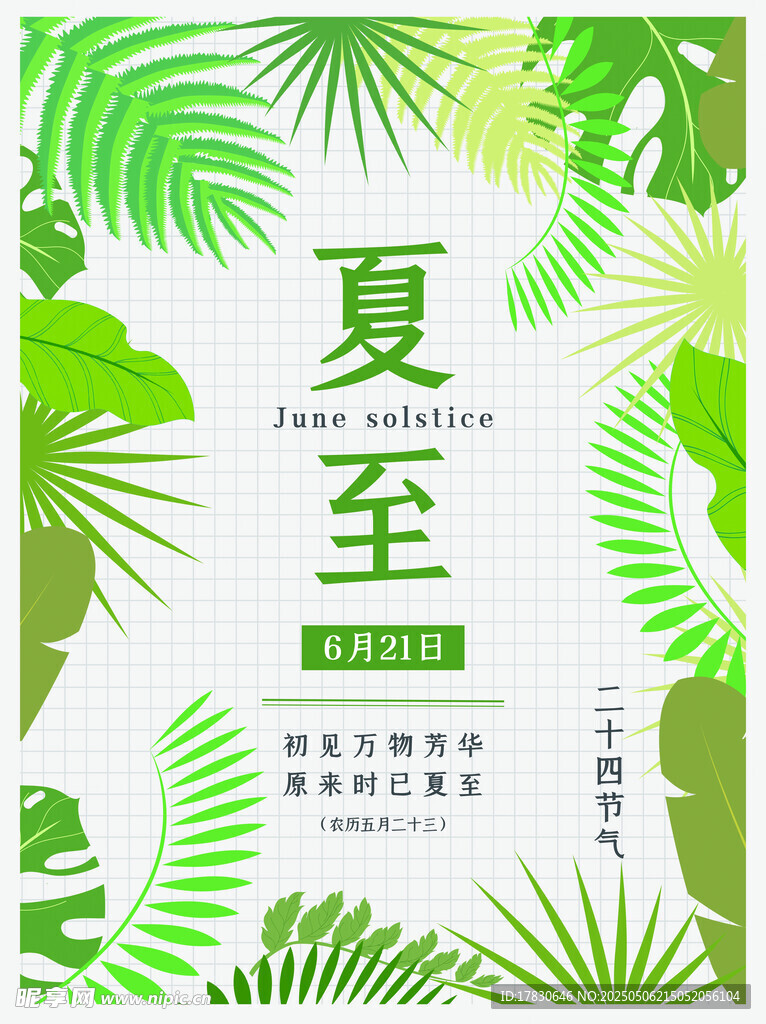 夏至节气绿植主题海报