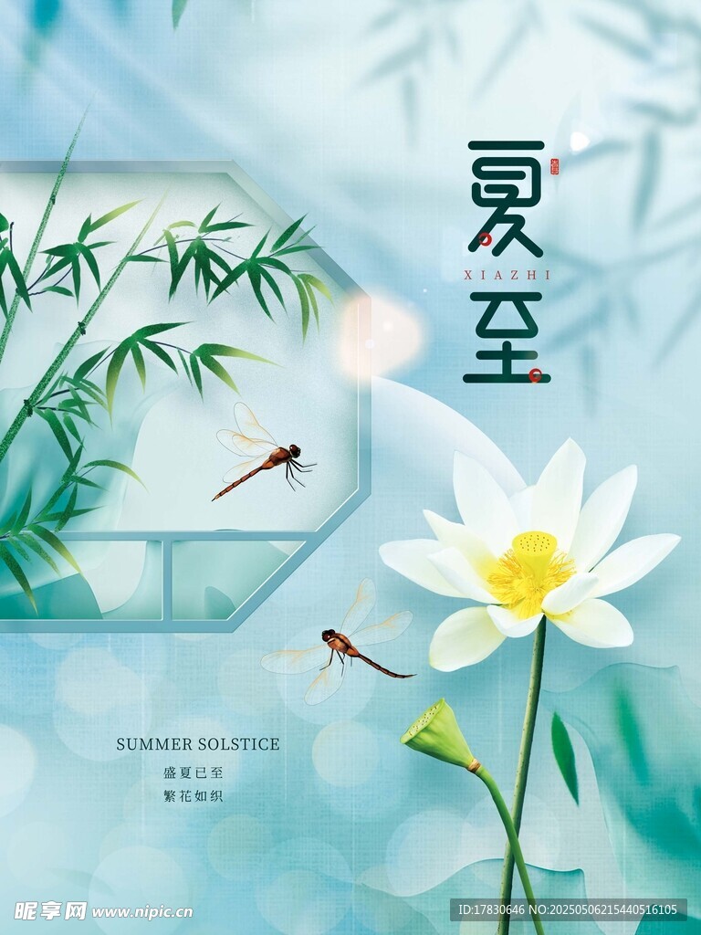 夏至荷花图