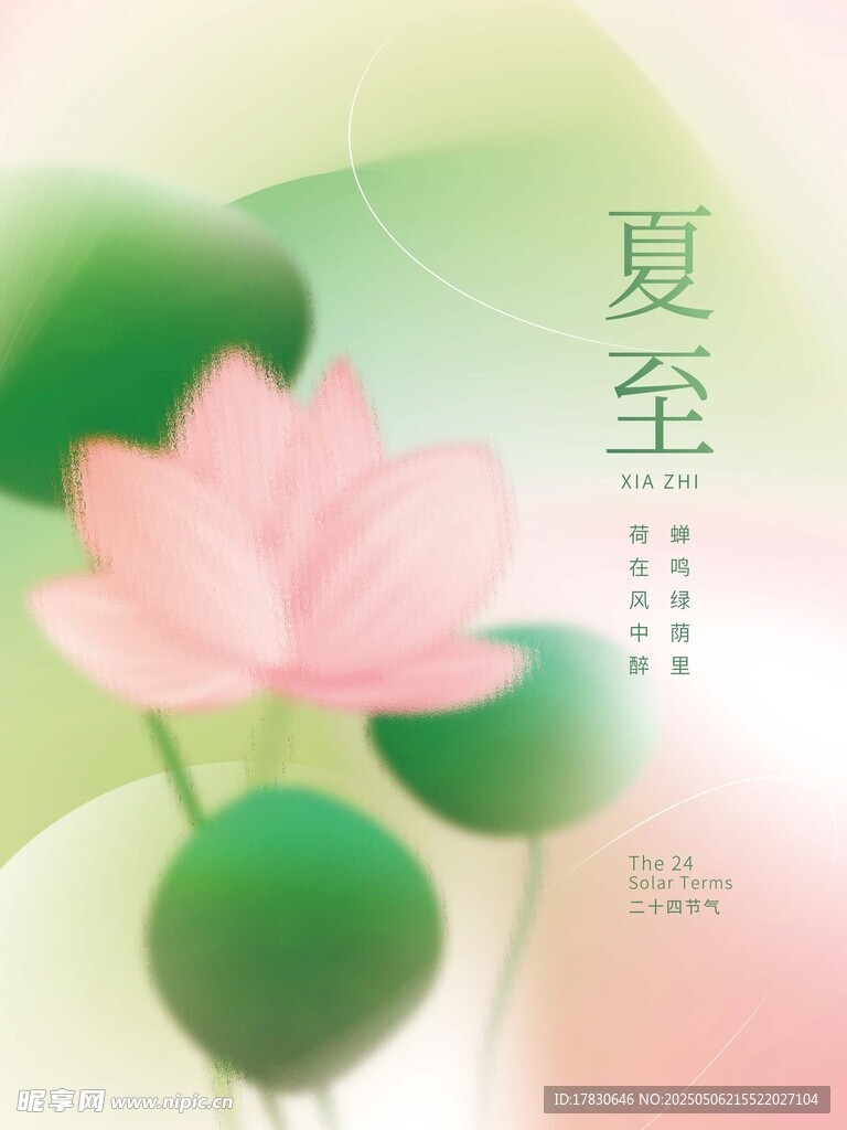 夏至荷花插画