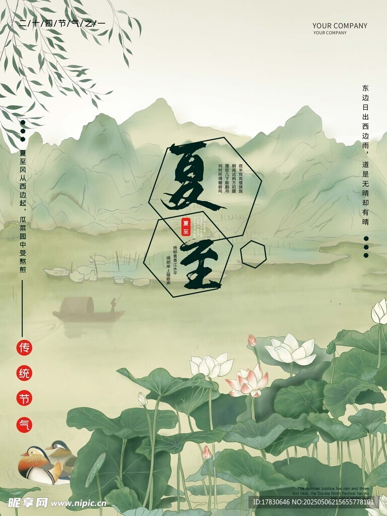 夏至时节荷塘美景