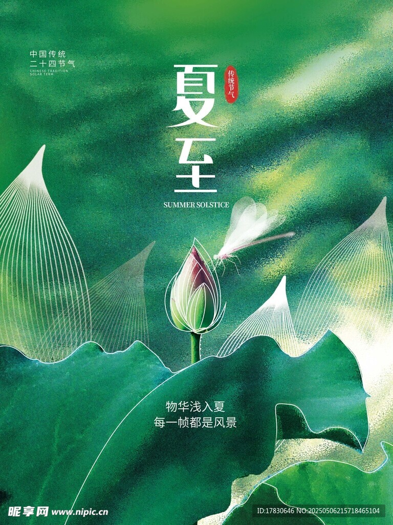 夏至时节的清新绿意