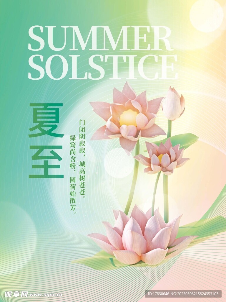 夏至荷花插画海报