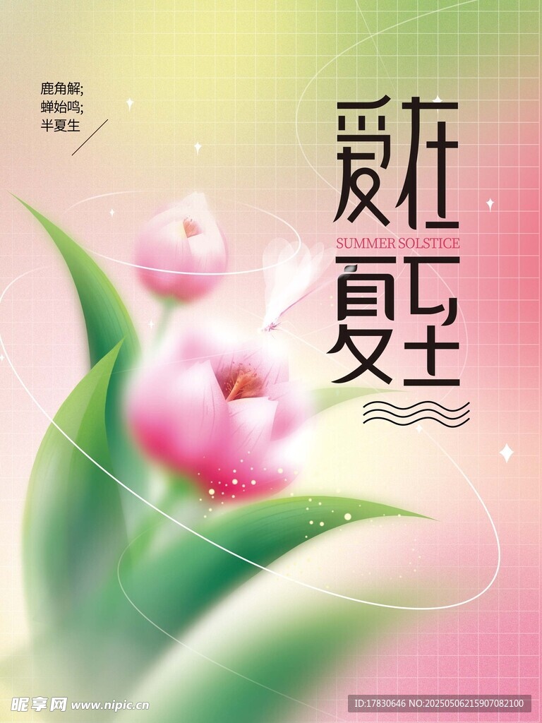 夏日浪漫花卉插画