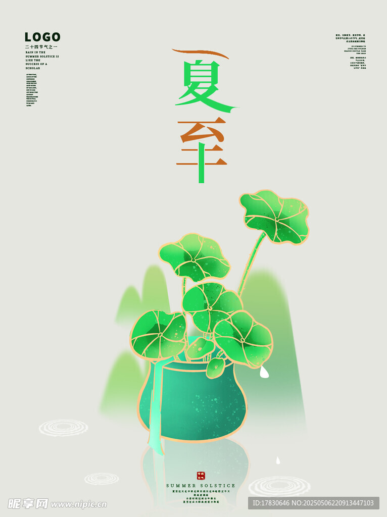 夏至时节的清新荷花盆栽