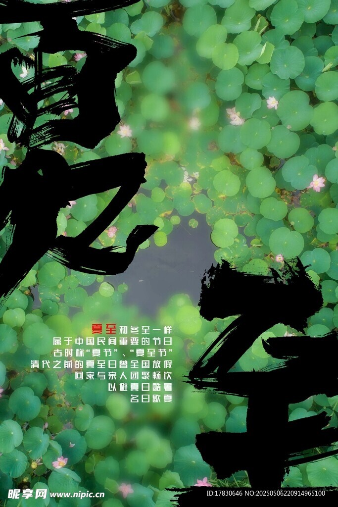 夏至时节绿意浓
