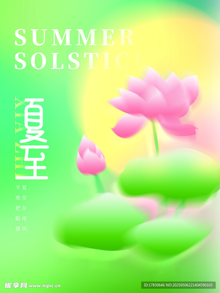 夏至夏日荷花图