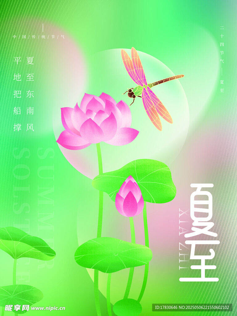 夏日荷花蜻蜓图