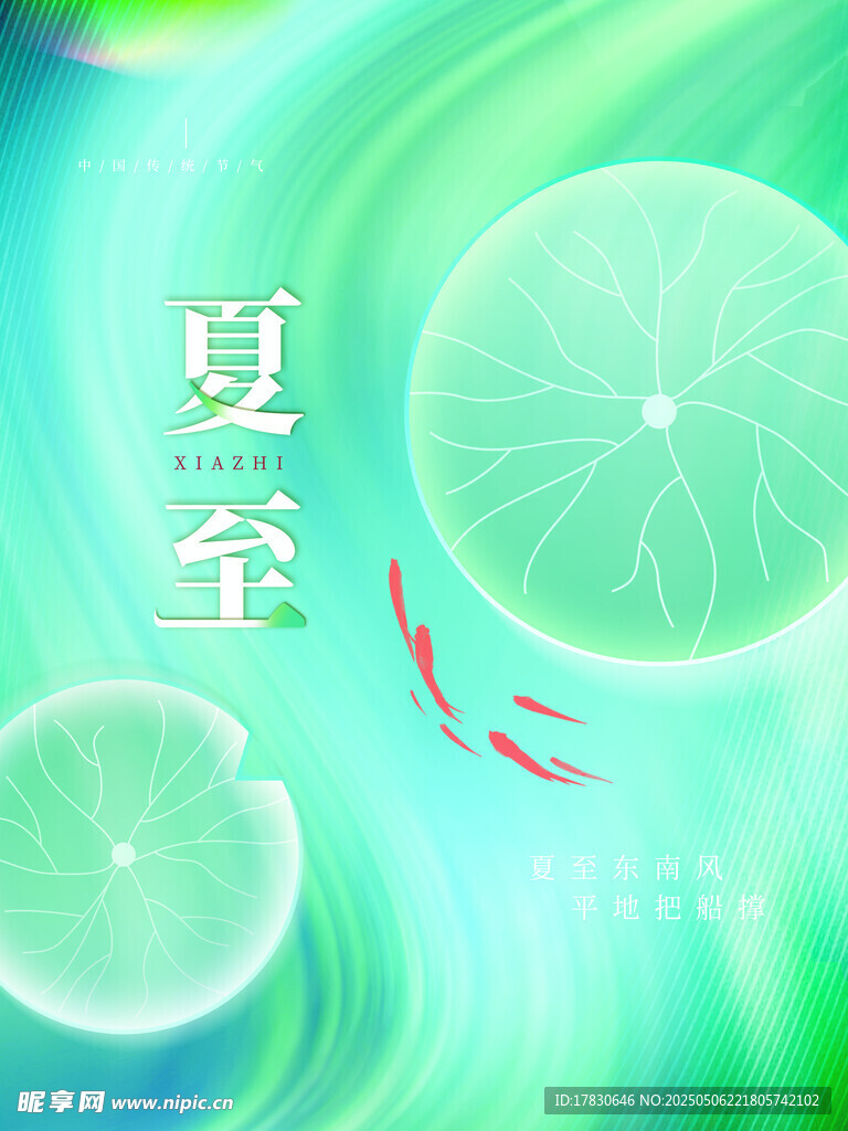 夏日清新荷叶与游鱼画面