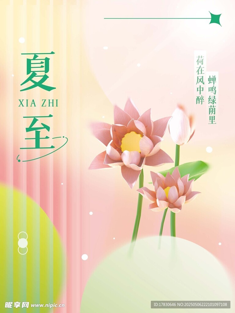 夏至荷花插画