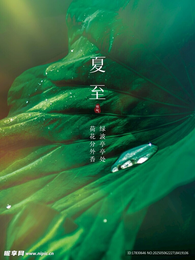 双车穿行翠绿山林间