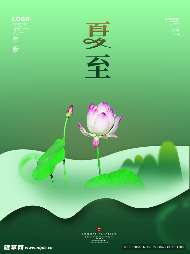 夏至荷花图