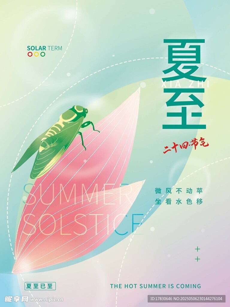 夏至时节 蜻蜓立荷尖