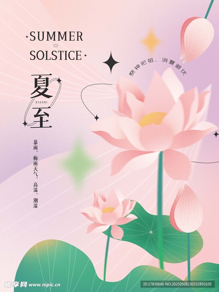 夏日荷花插画设计素材