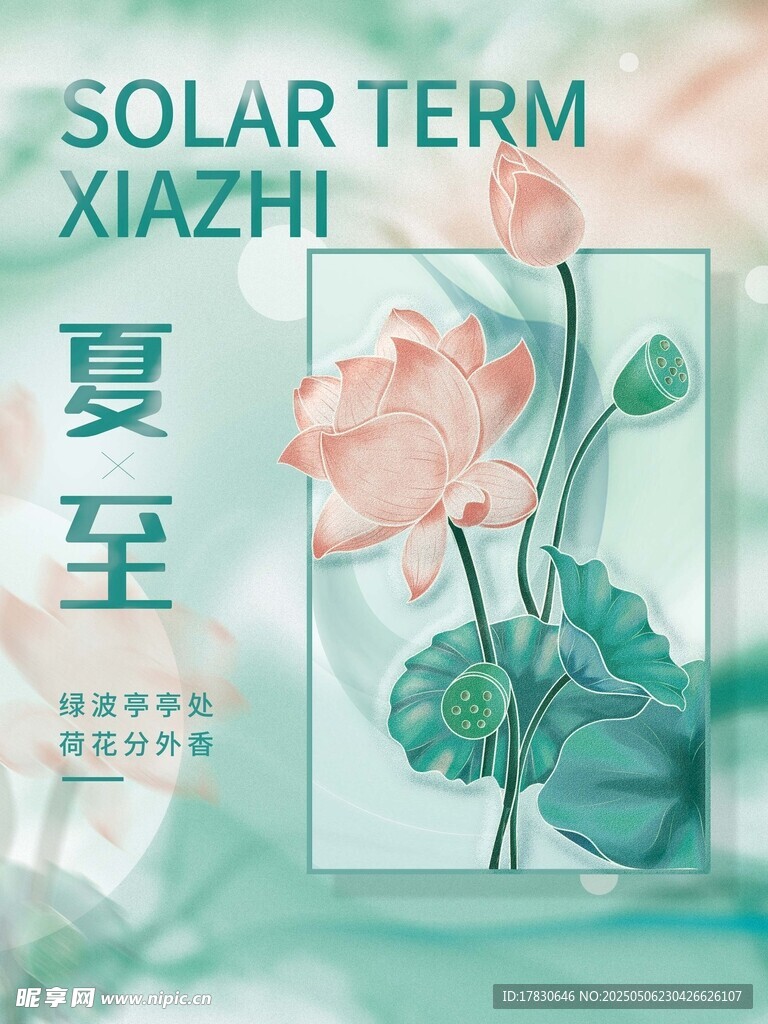 夏至节气荷花插画海报