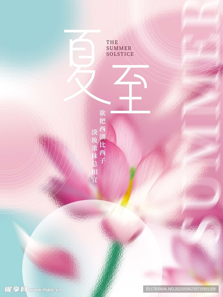 夏至时节粉色花卉美景