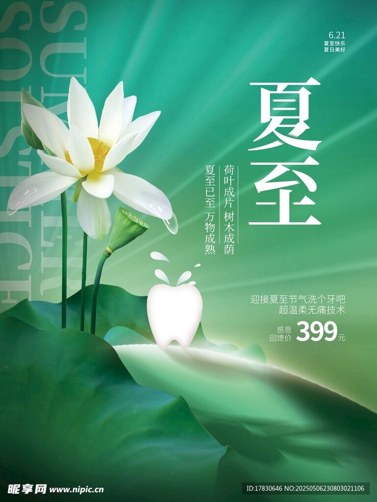 夏至荷花清新海报