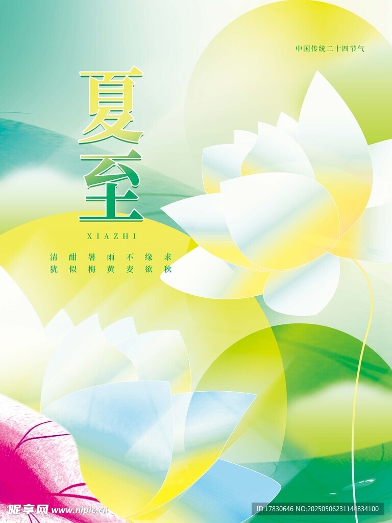 夏至时节清新花卉插画