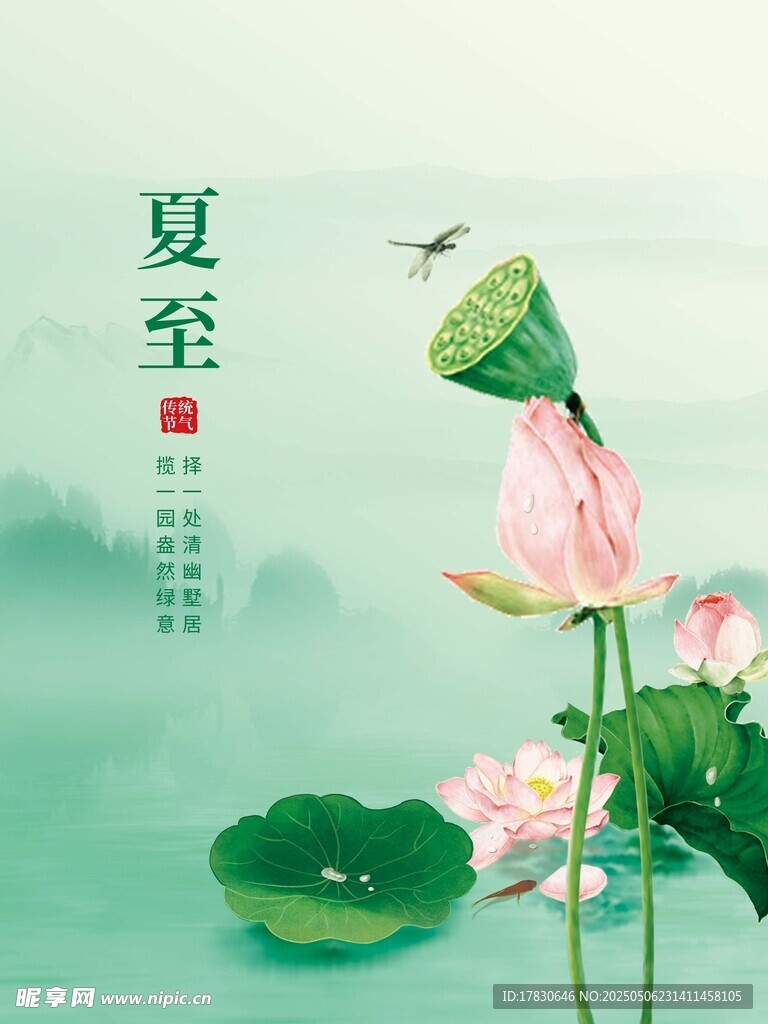 夏至荷花图