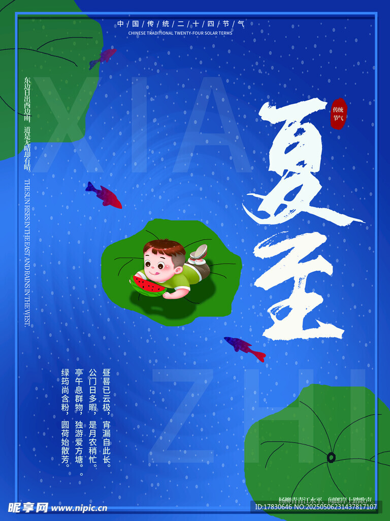 夏至插画 