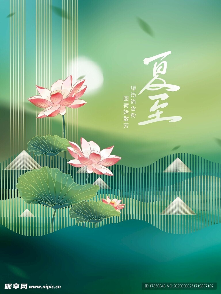 夏至荷花景