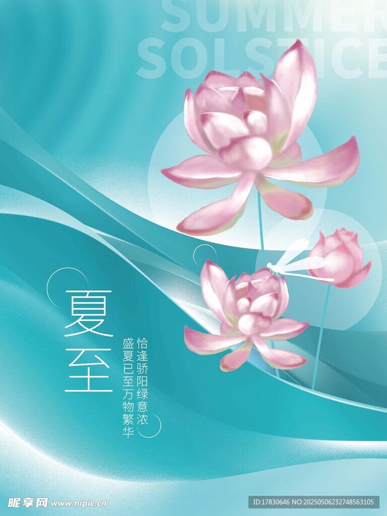 夏日荷花清新背景图