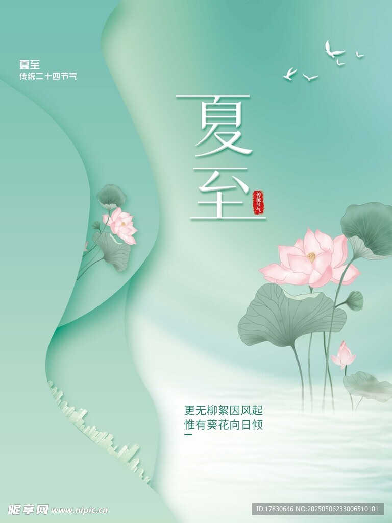夏至时节荷花绽放图景