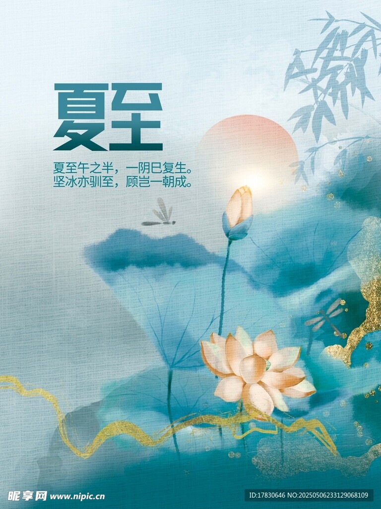 夏至荷花景