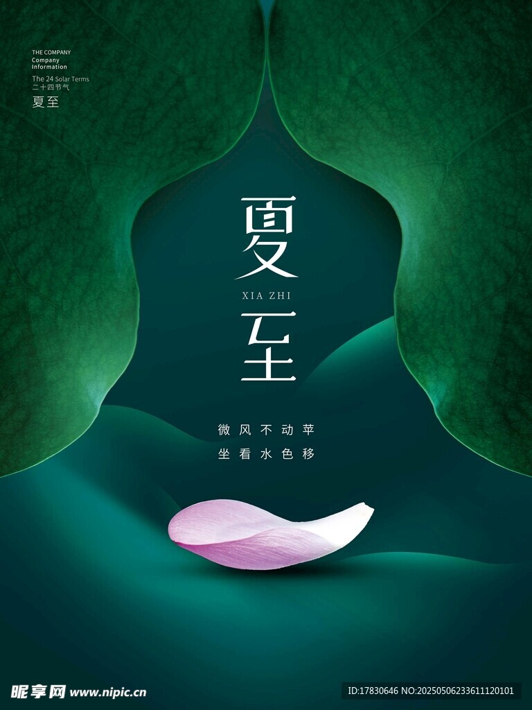 夏至节气海报设计元素