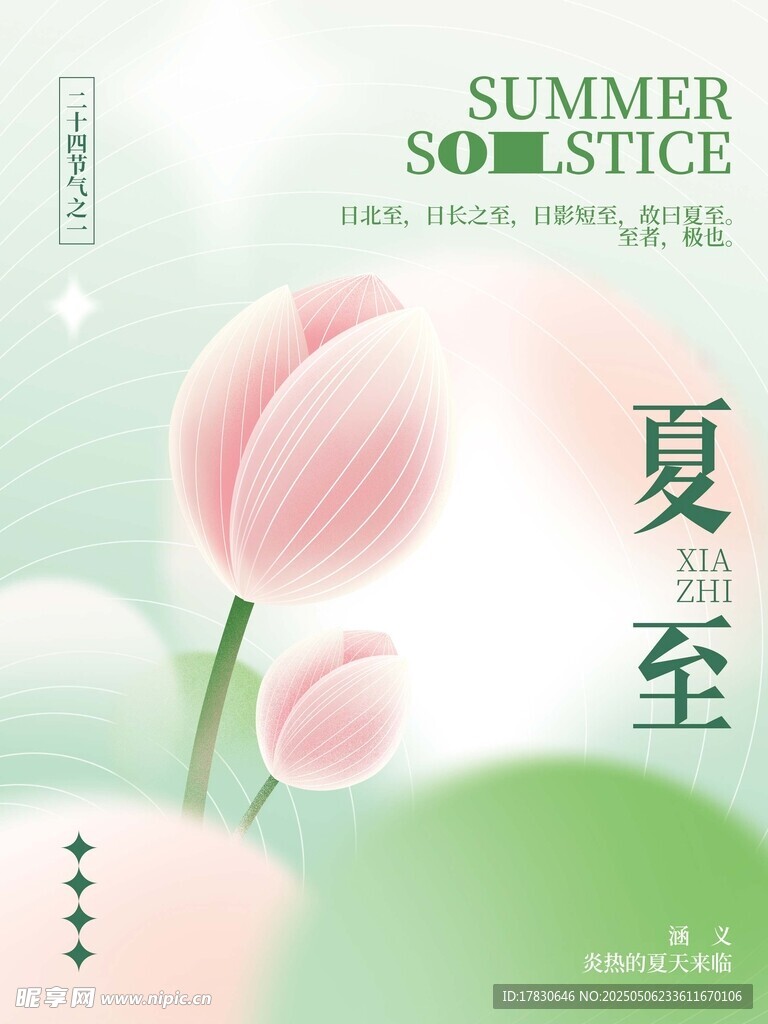 夏至时节粉色荷花海报