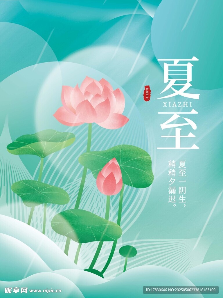 夏日荷花夏至美景图