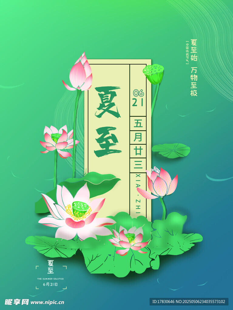 夏至节气荷花装饰插画