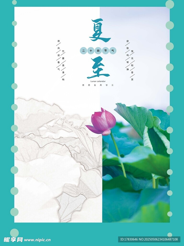 夏至节气荷花主题插画