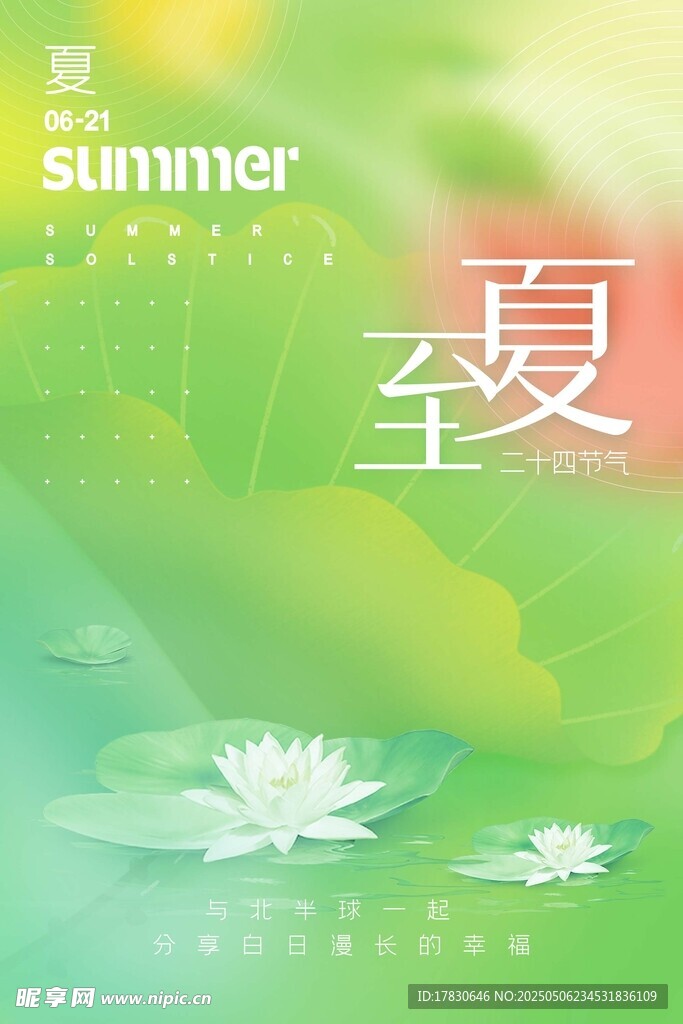 夏日荷花夏至美景图